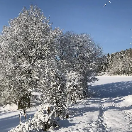 Im Bongert - Tor Zum Nationalpark Eifel