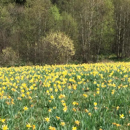 Im Bongert - Tor Zum Nationalpark Eifel *