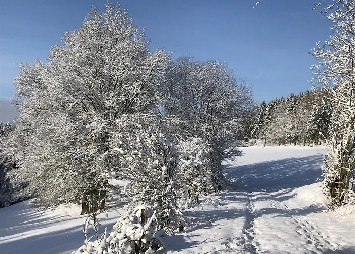 Im Bongert - Tor Zum Nationalpark Eifel