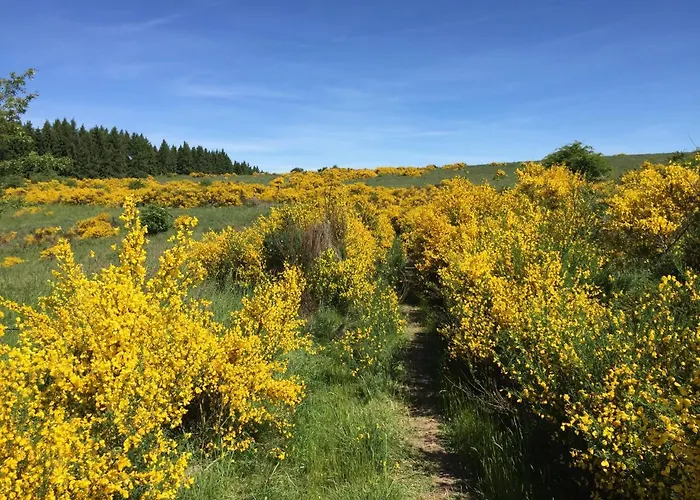 Im Bongert - Tor Zum Nationalpark Eifel Feriehus Hellenthal