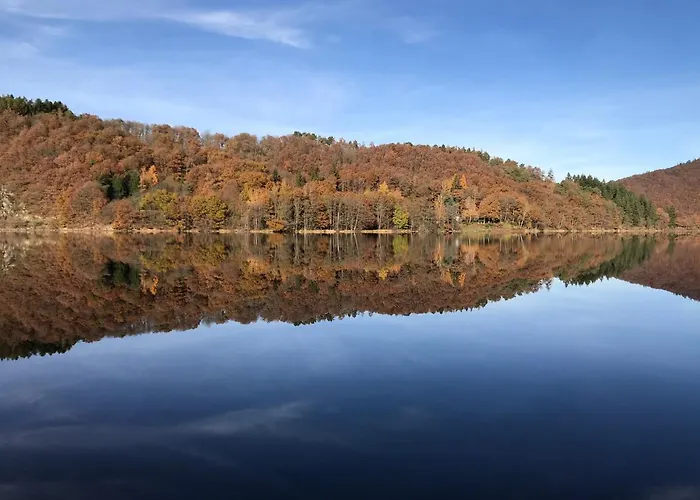 Im Bongert - Tor Zum Nationalpark Eifel Feriehus