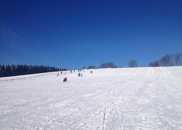 Im Bongert - Tor Zum Nationalpark Eifel Feriehus